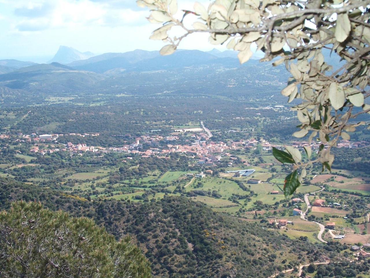 Villa Sa Domo Padru Esterno foto